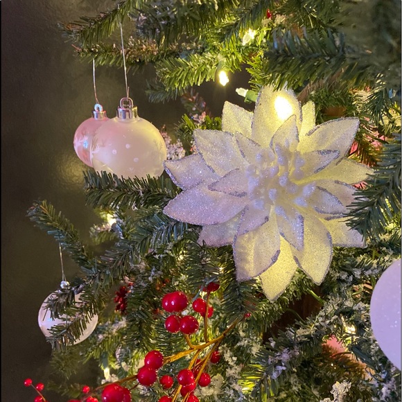 Meet your Posher, Addison - Picture 1 of 1